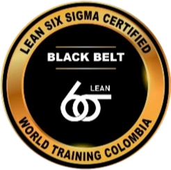 Lean Six Sigma Black Belt