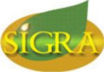 sigra